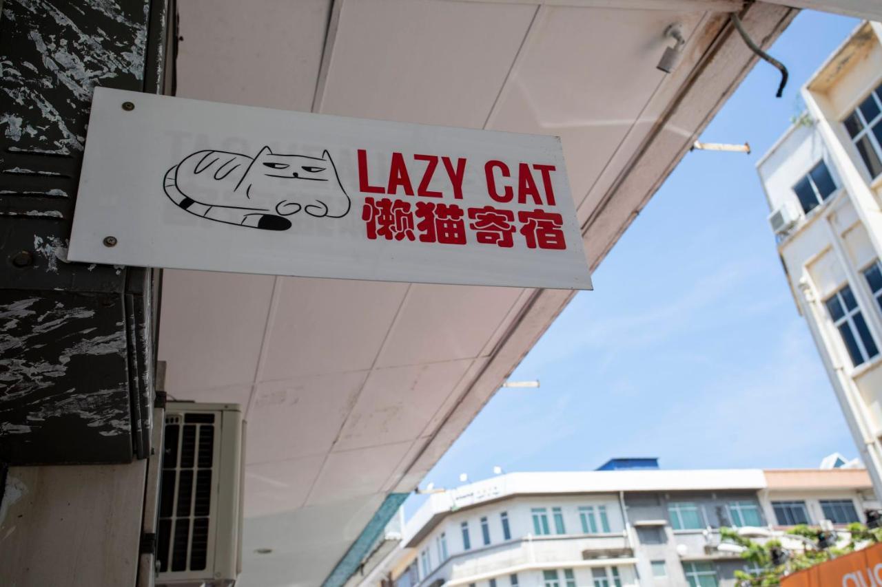 Lazy Cat At Gaya Street